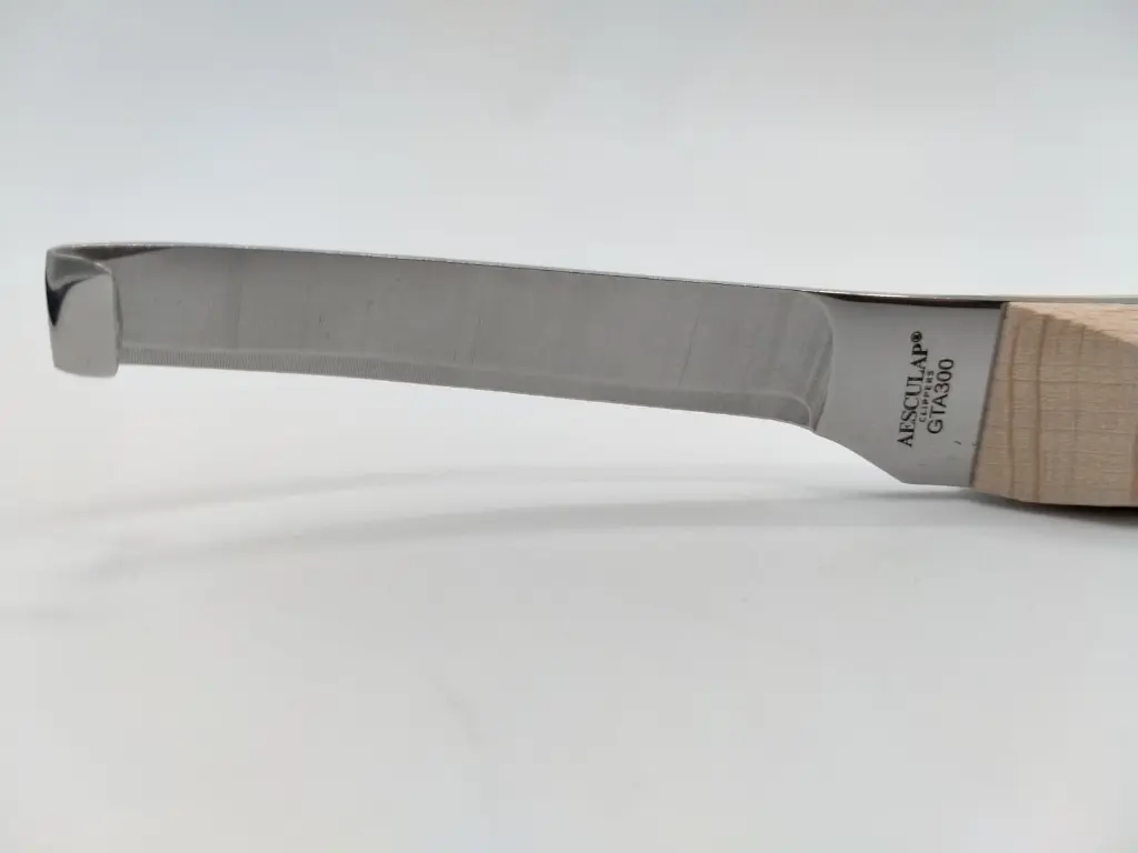 WhatsApp Image 2025-11-13 at 09.58.15.webp