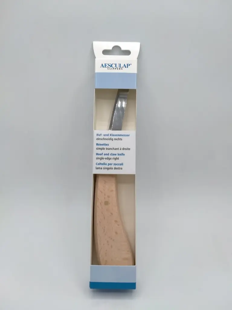 WhatsApp Image 2025-11-13 at 09.58.16.webp