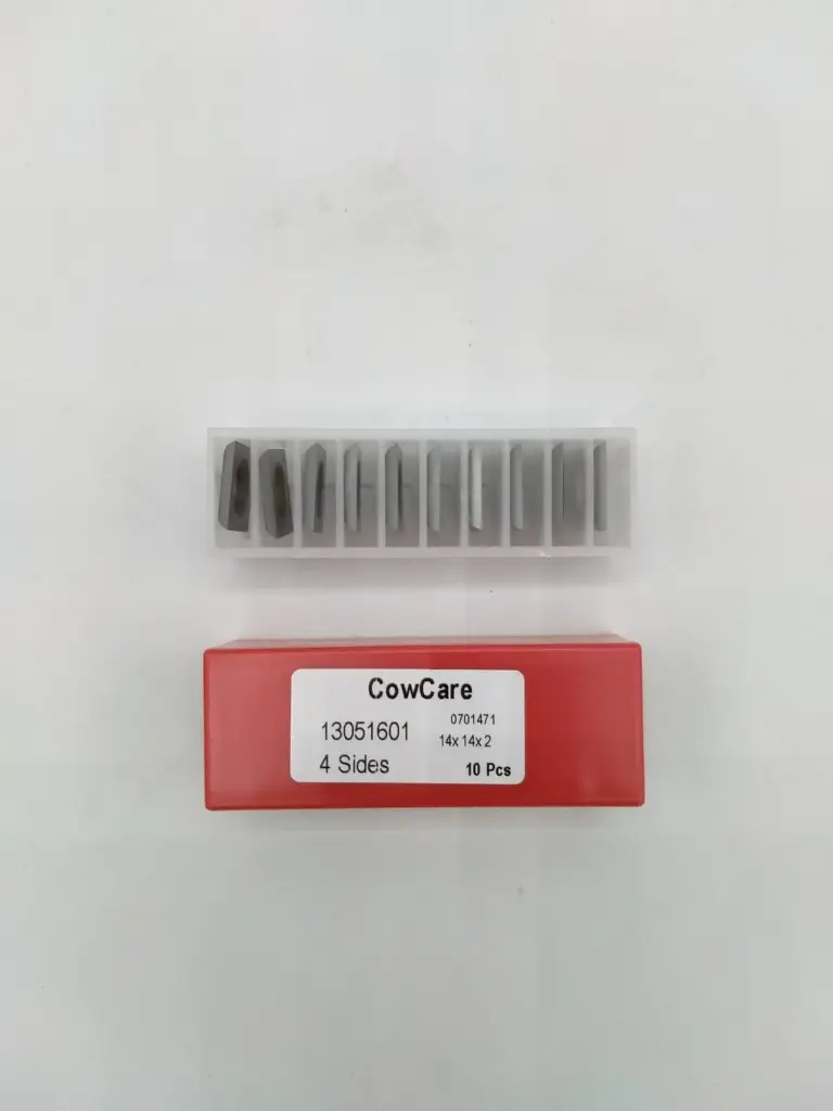 WhatsApp Image 2025-11-05 at 11.14.25 (1).webp