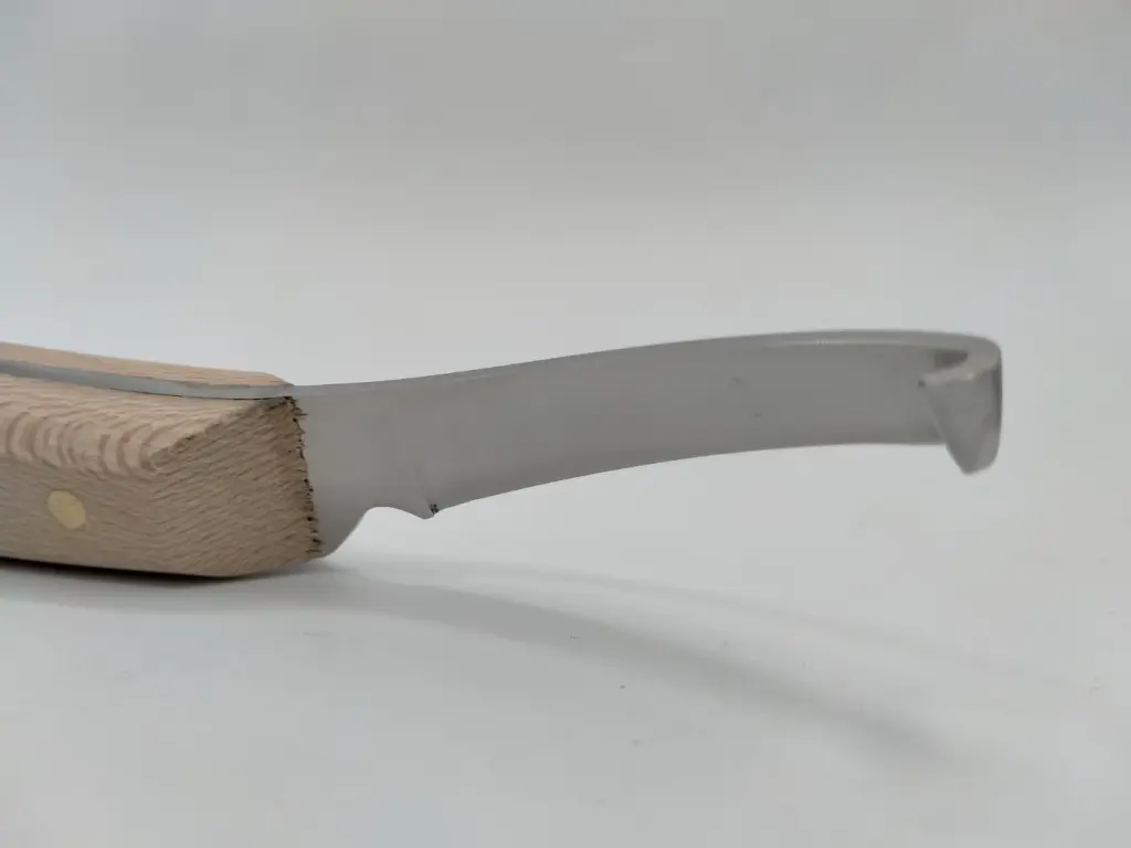 WhatsApp Image 2025-11-05 at 11.14.27.webp